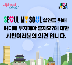 'SEOUL MY SOUL' 실현을 위해 어디에 투자해야 할까요?